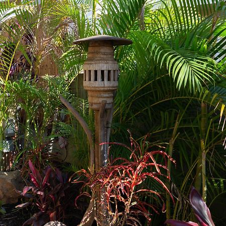 Bamboo Suite, 1 Bedroom, Sleeps 4, Pool & Bbq, Pre-Renovation Summer Sale Kihei Exterior foto