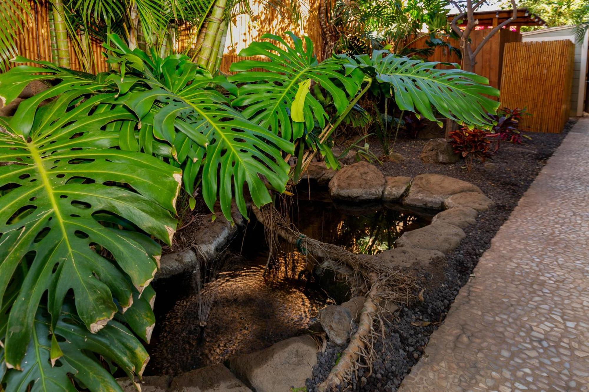 Bamboo Suite, 1 Bedroom, Sleeps 4, Pool & Bbq, Pre-Renovation Summer Sale Kihei Exterior foto